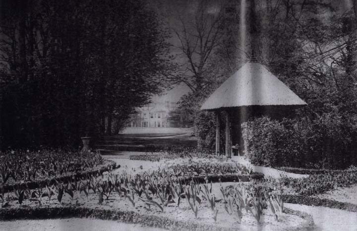 Runcton Hall gardens