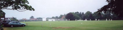 cricket match