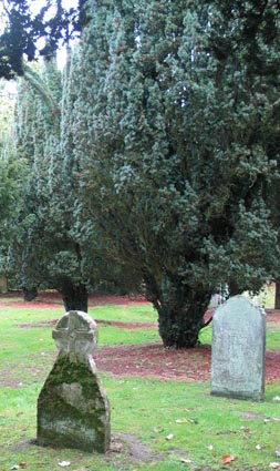 graveyard